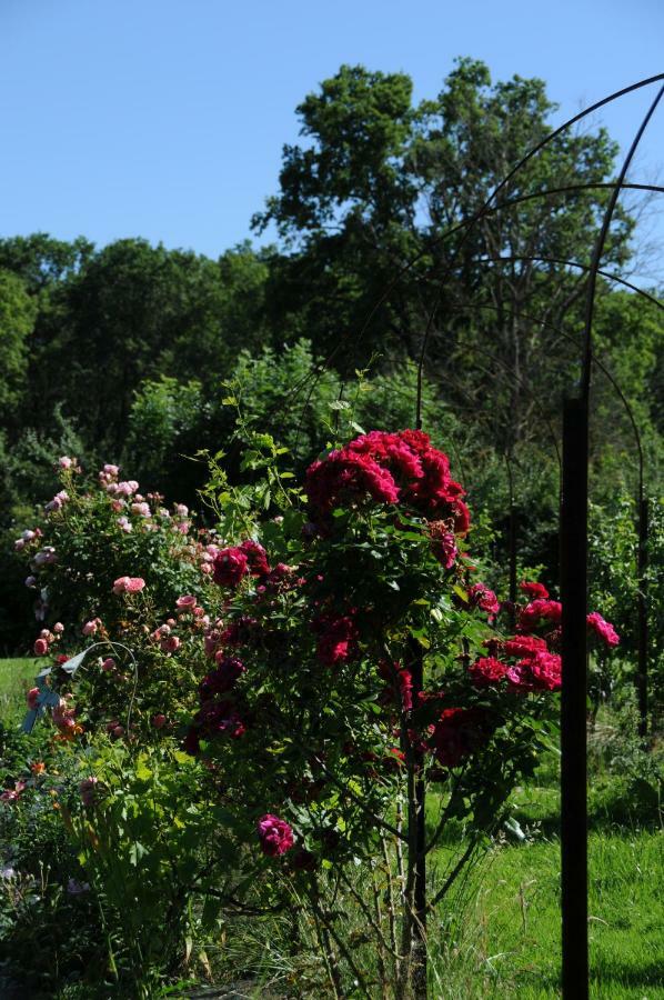 Voussac Le Champ Bagnolet B&B 외부 사진